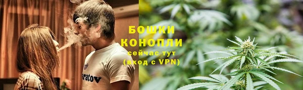 PSILOCYBIN Слюдянка
