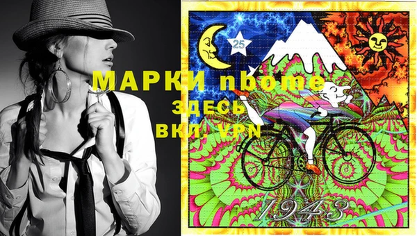 стаф Абаза