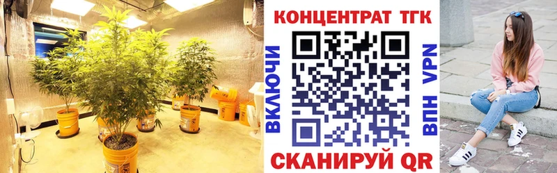 ТГК гашишное масло  Осташков 