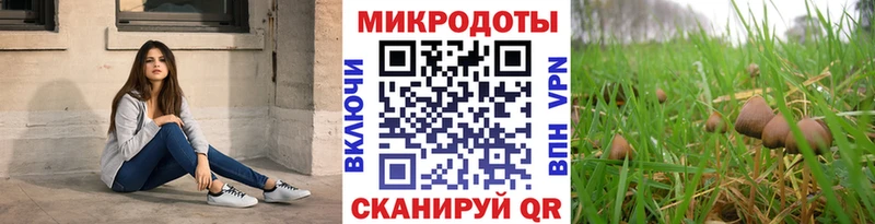 Псилоцибиновые грибы прущие грибы  Осташков 
